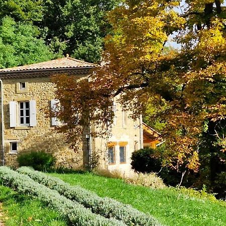 Gite Du Grand Delmas Bourdeaux Εξωτερικό φωτογραφία